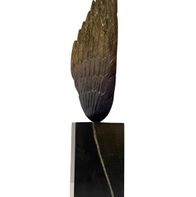 Dobble wing, 55 cm, bronze